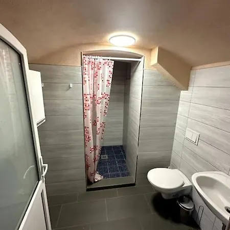 Monteurwohnung Im Untergeschoss Lejlighed Borna